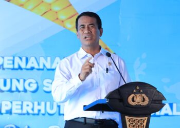Menteri Pertanian: Berkat Kapolri dan Jajaran, Produksi Jagung Naik
