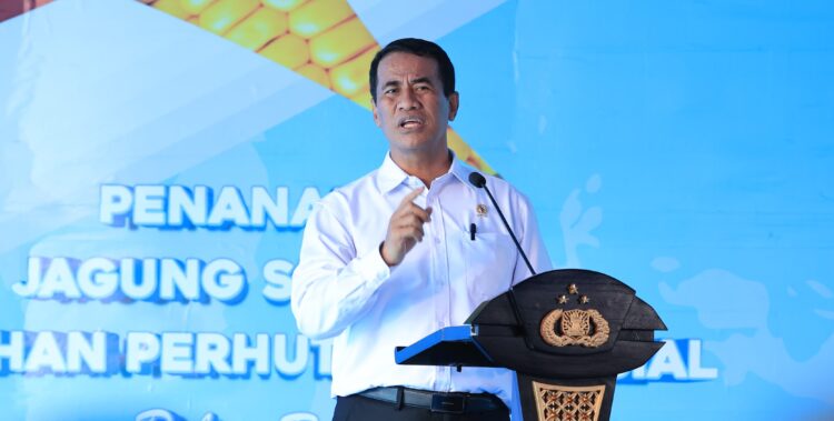 Menteri Pertanian: Berkat Kapolri dan Jajaran, Produksi Jagung Naik