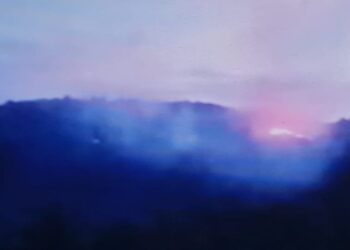 Kemarau Bawa Petaka, Kebakaran Hebat Hanguskan Lahan Pertanian Masyarakat Nagari Tanjung Bingkung di Bukit Durian dan Bukit Puncak Sigaran Sekitar 200 Ha lebih