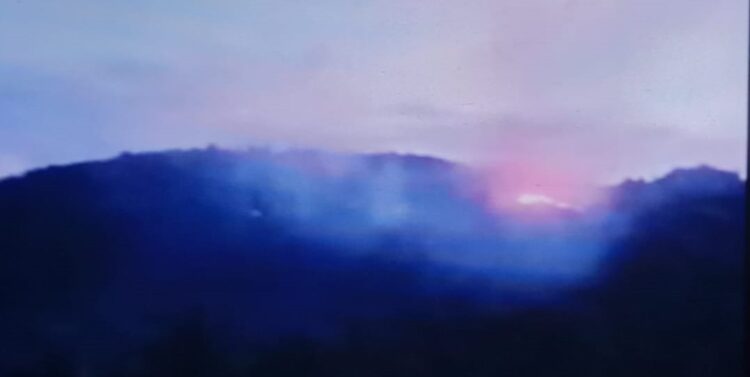 Kemarau Bawa Petaka, Kebakaran Hebat Hanguskan Lahan Pertanian Masyarakat Nagari Tanjung Bingkung di Bukit Durian dan Bukit Puncak Sigaran Sekitar 200 Ha lebih