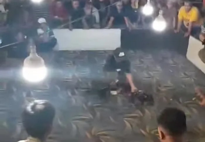 Terkesan Menantang APH, Diduga Judi Dadu & Sabung Ayam Tetap Beroperasi