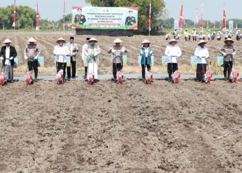 Penanaman Jagung Bersinergi Dengan Ponpes, Bukti Nyata Seluruh Komponen Bangsa Wujudkan Swasembada Pangan