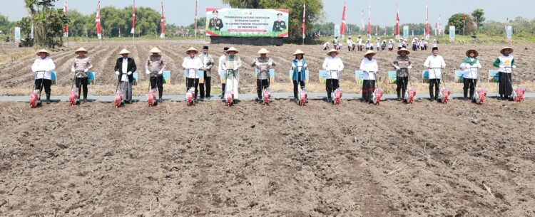 Penanaman Jagung Bersinergi Dengan Ponpes, Bukti Nyata Seluruh Komponen Bangsa Wujudkan Swasembada Pangan