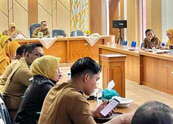 Pemkab Solok Ikuti Rapat Sosialisasi Kebijakan Dana Alokasi Khusus (DAK) Tahun 2026
