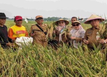 Dinas Pertanian Kabupaten  Bekasi Perkuat Pengetahuan Petani dalam Pengendalian Hama Ramah Lingkungan  Agustus 2025