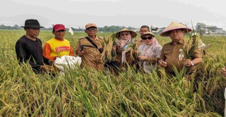 Dinas Pertanian Kabupaten Bekasi Perkuat Pengetahuan Petani dalam Pengendalian Hama Ramah Lingkungan Agustus 2025