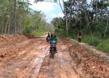 Warga Desa Mesuji Jaya OKI, Inginkan Rehab Jalan Poros