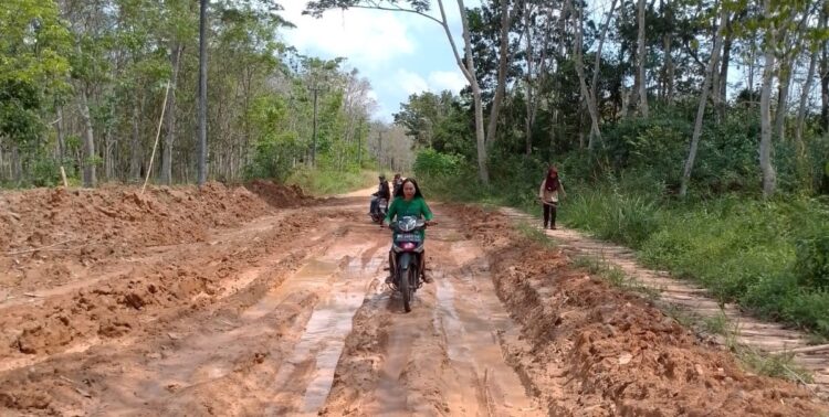 Warga Desa Mesuji Jaya OKI, Inginkan Rehab Jalan Poros