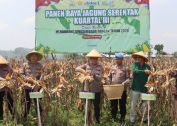 Polres Purbalingga Gelar Panen Raya Jagung Serentak Kuartal III