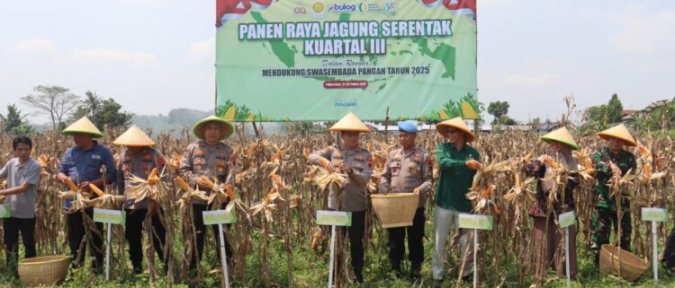 Polres Purbalingga Gelar Panen Raya Jagung Serentak Kuartal III