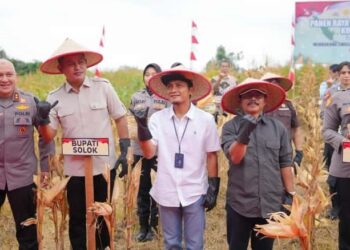 Bupati Solok Hadiri Panen Raya Jagung Serentak Kuartal III di Sukarami