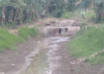 DPUPR Provinsi Banten Kucurkan Irigasi Di Cisangu Bawah Usai Terealisasi Untuk Petani.