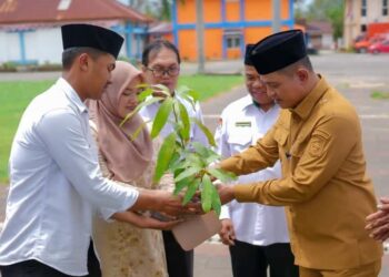 Bupati Solok Ikut Serta Tanam Bibit Pohon dalam Program “Catin Nampak”