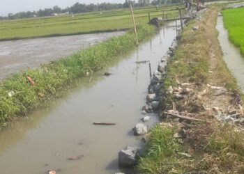 Parah..! Proyek Peningkatan Rehabilitasi Tersier di Kelurahan Trumbu Kasemen di Duga Kerjakan Asal Jadi Terlihat Amburadul