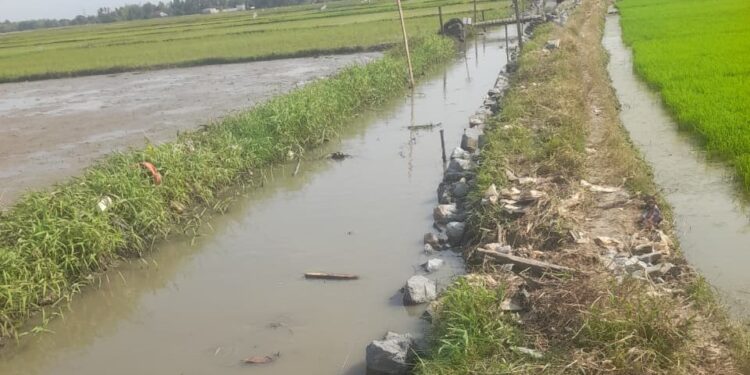Parah..! Proyek Peningkatan Rehabilitasi Tersier di Kelurahan Trumbu Kasemen di Duga Kerjakan Asal Jadi Terlihat Amburadul