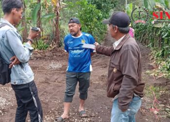 Kelompok Tani Nanas Madusari Desa Kumpay Mendapatkan Bantuan Upland
