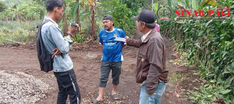 Kelompok Tani Nanas Madusari Desa Kumpay Mendapatkan Bantuan Upland