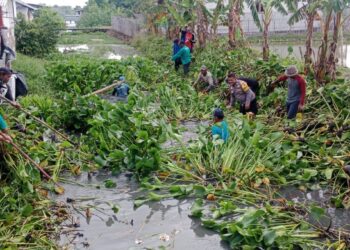 Kerja Bakti TNI-Polri Bersihkan Eceng Gondok Aliran Sungai Kali Gendong Desa Pegagan Kidul, Dukung Destinasi Super Prioritas