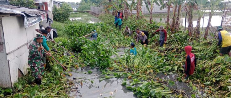 Kerja Bakti TNI-Polri Bersihkan Eceng Gondok Aliran Sungai Kali Gendong Desa Pegagan Kidul, Dukung Destinasi Super Prioritas
