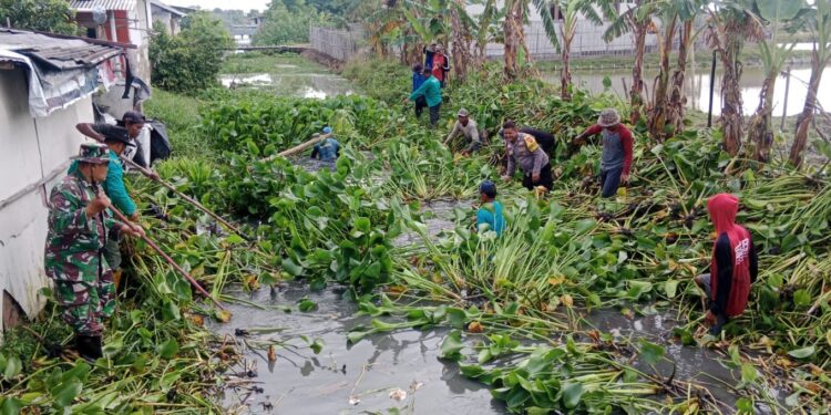 Kerja Bakti TNI-Polri Bersihkan Eceng Gondok Aliran Sungai Kali Gendong Desa Pegagan Kidul, Dukung Destinasi Super Prioritas