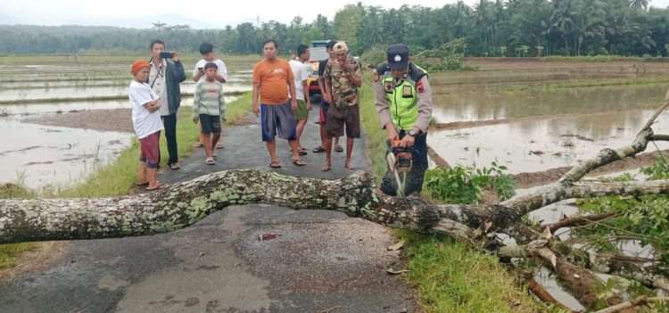 Polsek Kaligondang Bantu Evakuasi Pohon Tumbang Akibat Hujan Angin
