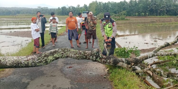 Polsek Kaligondang Bantu Evakuasi Pohon Tumbang Akibat Hujan Angin