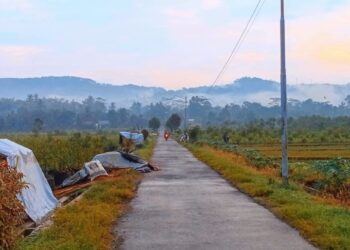 Warga Menangis, Banjir Bandang Melanda Daerah Lereng Gunung Slamet, Oleh Widoyo Satmoko (Wartawan Koran SINAR PAGI)