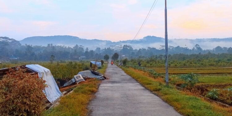 Warga Menangis, Banjir Bandang Melanda Daerah Lereng Gunung Slamet, Oleh Widoyo Satmoko (Wartawan Koran SINAR PAGI)