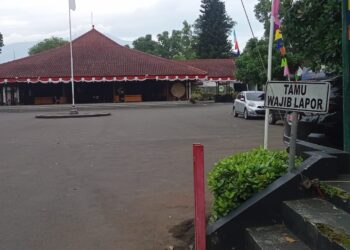 Menghadapi Lebaran Idul Fitri : Jutaan Pemudik Berharap Perjalanan Pulang Kampung Aman Dan Nyaman, Oleh Widoyo Satmoko