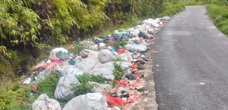 Sampah Berbahaya Menumpuk di Jalan Lintas Alahan Panjang, DLH Kabupaten Solok Berujar Kurang Personil dan Armada ?