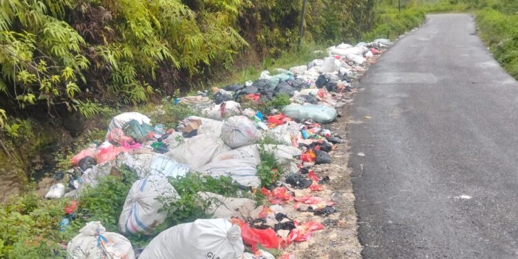 Sampah Berbahaya Menumpuk di Jalan Lintas Alahan Panjang, DLH Kabupaten Solok Berujar Kurang Personil dan Armada ?