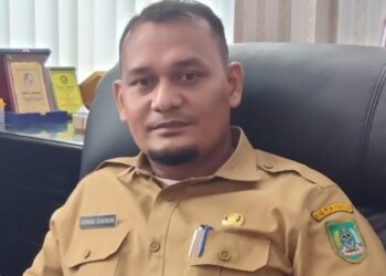 Diduga Serakah Tentang Jabatan, Hancurnya Manajemen Keuangan Daerah Pemkab Rohil Kesannya Tak Bisa Dihindarkan.