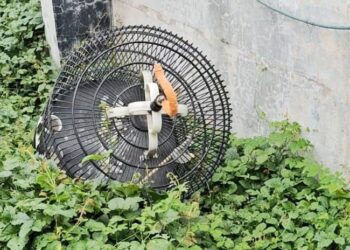 Polsek Wonocolo Terima Laporan Pencurian Burung Murai dan Dua Ponsel, Kerugian Capai Rp19 Juta