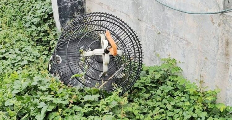 Polsek Wonocolo Terima Laporan Pencurian Burung Murai dan Dua Ponsel, Kerugian Capai Rp19 Juta