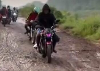 Galian Tanah Merah Marak di Kabupaten Subang, LSM GAMPIL Soroti