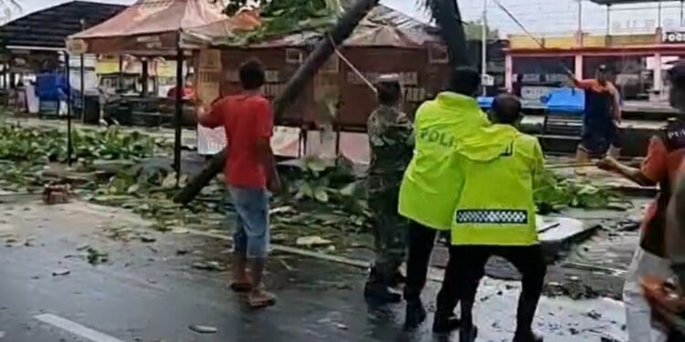 Respons Cepat Polsek Purbalingga Bantu Evakuasi Dua Pohon Tumbang