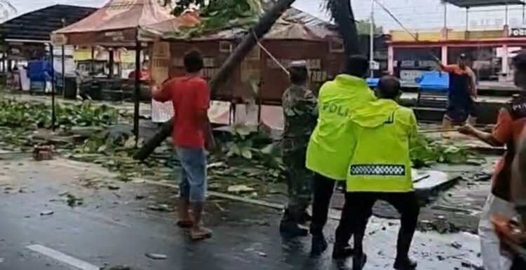 Respons Cepat Polsek Purbalingga Bantu Evakuasi Dua Pohon Tumbang