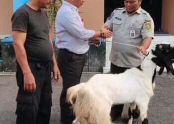 Perumdam Tirta Satria Banyumas Wujudkan Syukur dan Kepedulian Lewat Kegiatan Kurban Idul Adha 1447 Hijriah
