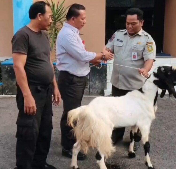 Perumdam Tirta Satria Banyumas Wujudkan Syukur dan Kepedulian Lewat Kegiatan Kurban Idul Adha 1447 Hijriah