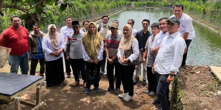 DKP Provisinsi Jawa Timur Budidaya Ikan Desa Putat Lor, Kecamatan Gondanglegi, Kabupaten Malang