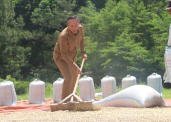 Dukung Industri Kopi Lokal, Bupati Taput Sapa Karyawan dan Petani di Siborongborong