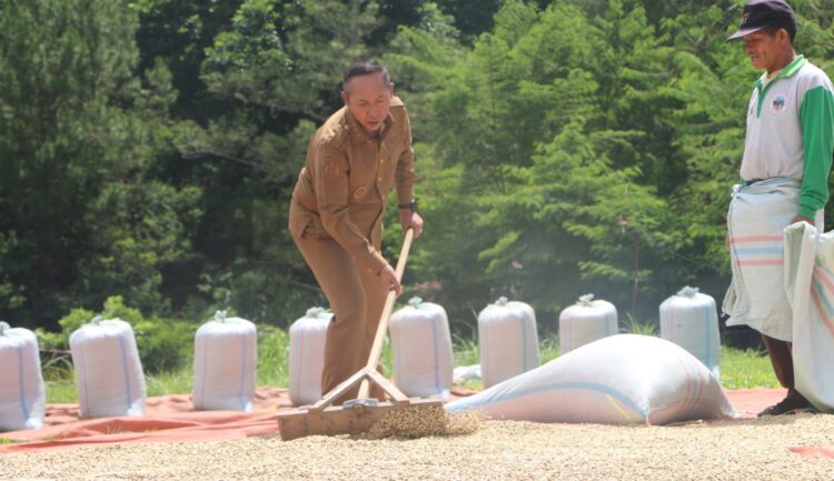 Dukung Industri Kopi Lokal, Bupati Taput Sapa Karyawan dan Petani di Siborongborong