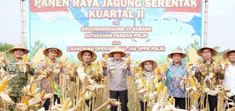Dukung Swasembada Pangan Nasional, Kapolda Jateng Panen Jagung Bersama Petani di Boyolali