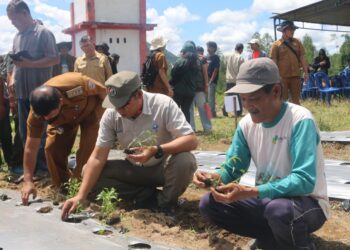 Bupati Taput Dorong BUMDes Sisordak Jadi Pemasok Program Makan Bergizi Gratis