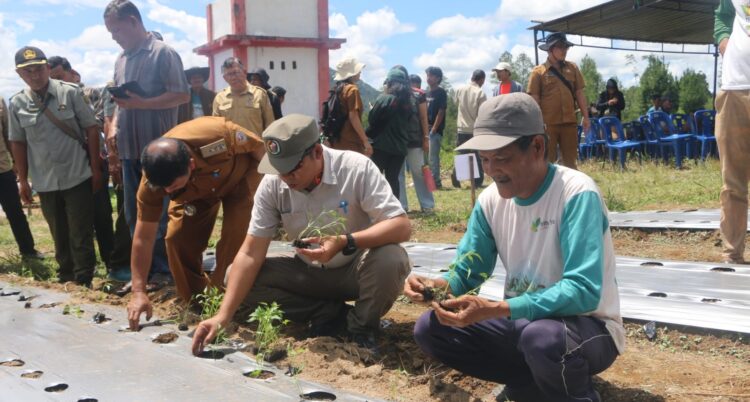 Bupati Taput Dorong BUMDes Sisordak Jadi Pemasok Program Makan Bergizi Gratis