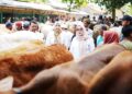 Wakil Bupati Banyumas Lintarti Pantau Harga dan Stok Bapokting serta Hewan Ternak Jelang Idul Adha 1447H