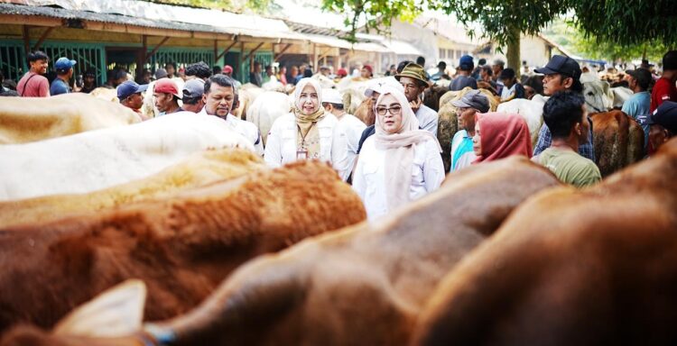 Wakil Bupati Banyumas Lintarti Pantau Harga dan Stok Bapokting serta Hewan Ternak Jelang Idul Adha 1447H
