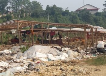 Bau Limbah Bulu Ayam di Lulut Bikin Warga Nambo Gelisah, DLH Pemkab Bogor Harus Bertindak