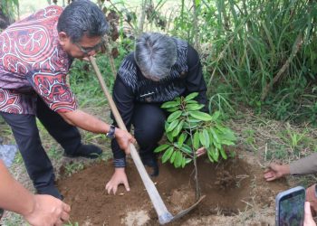 Pemkab Tapanuli Utara gandeng TJSL PT. Taspen (Persero) berikan 1.500 bibit Durian Unggul kepada Kelompok Tani Kecamatan Parmonangan