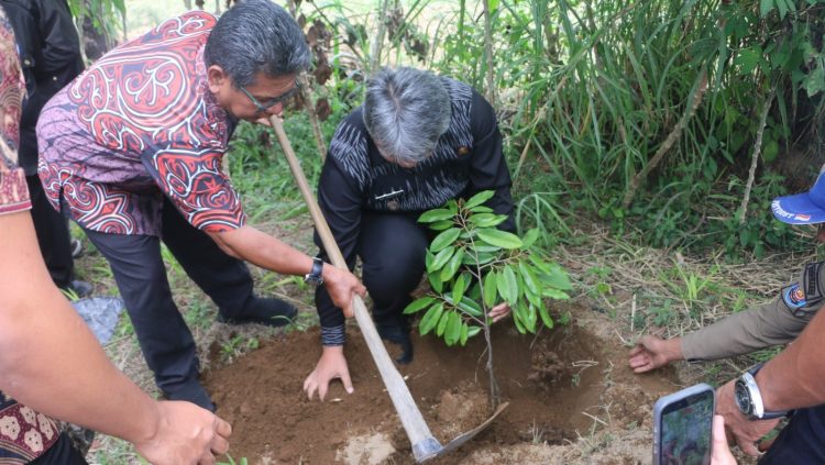 Pemkab Tapanuli Utara gandeng TJSL PT. Taspen (Persero) berikan 1.500 bibit Durian Unggul kepada Kelompok Tani Kecamatan Parmonangan